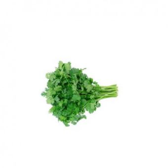 Coriander (Dhaniya)-1x(18-20)01